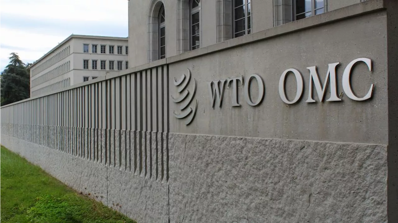 WTO Predicts Increase in Global Trade Volume