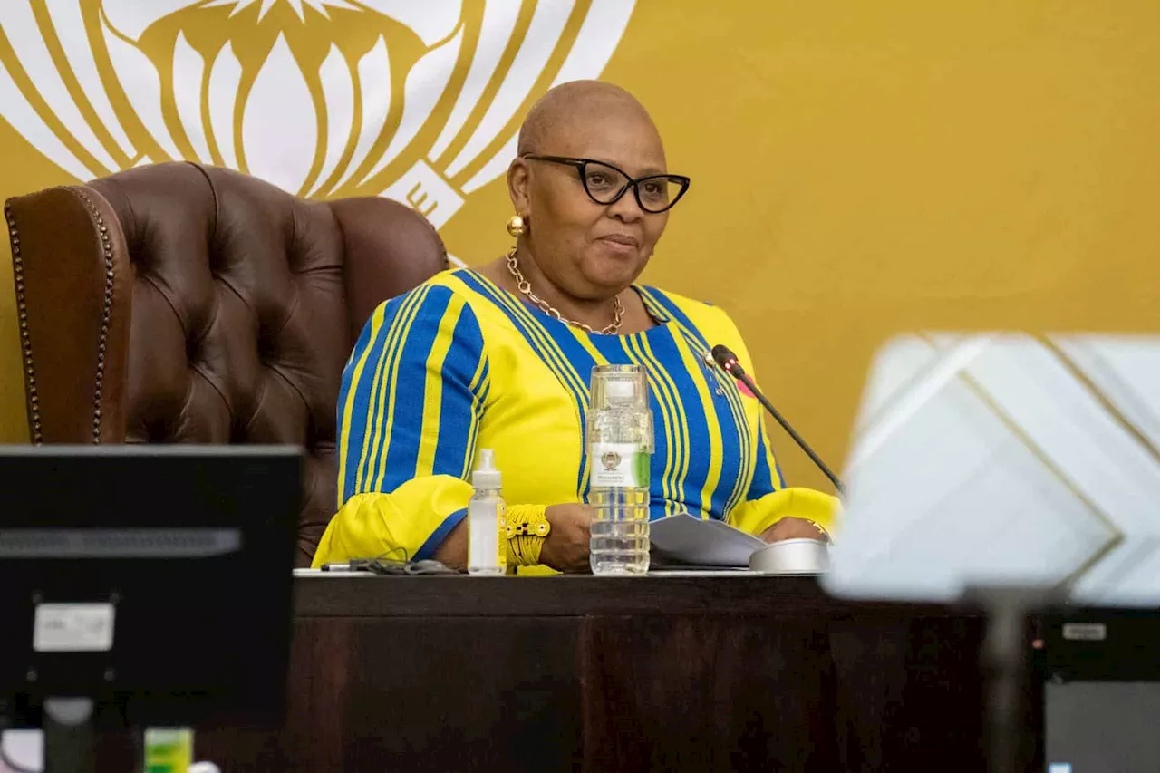 Parliament says it can’t probe complaint against Mapisa-Nqakula on secretary’s salary hike