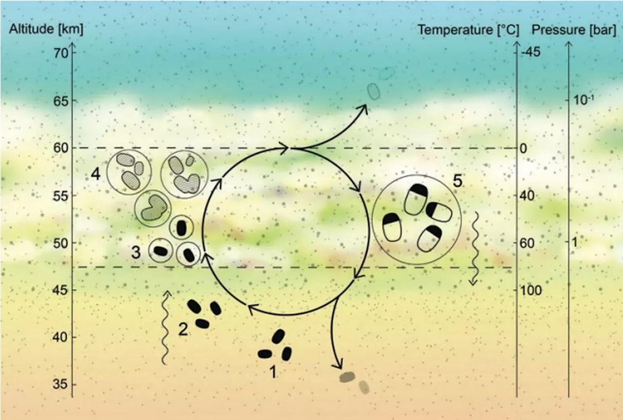 Could Life Exist in Water Droplet Worlds in Venus' Atmosphere?