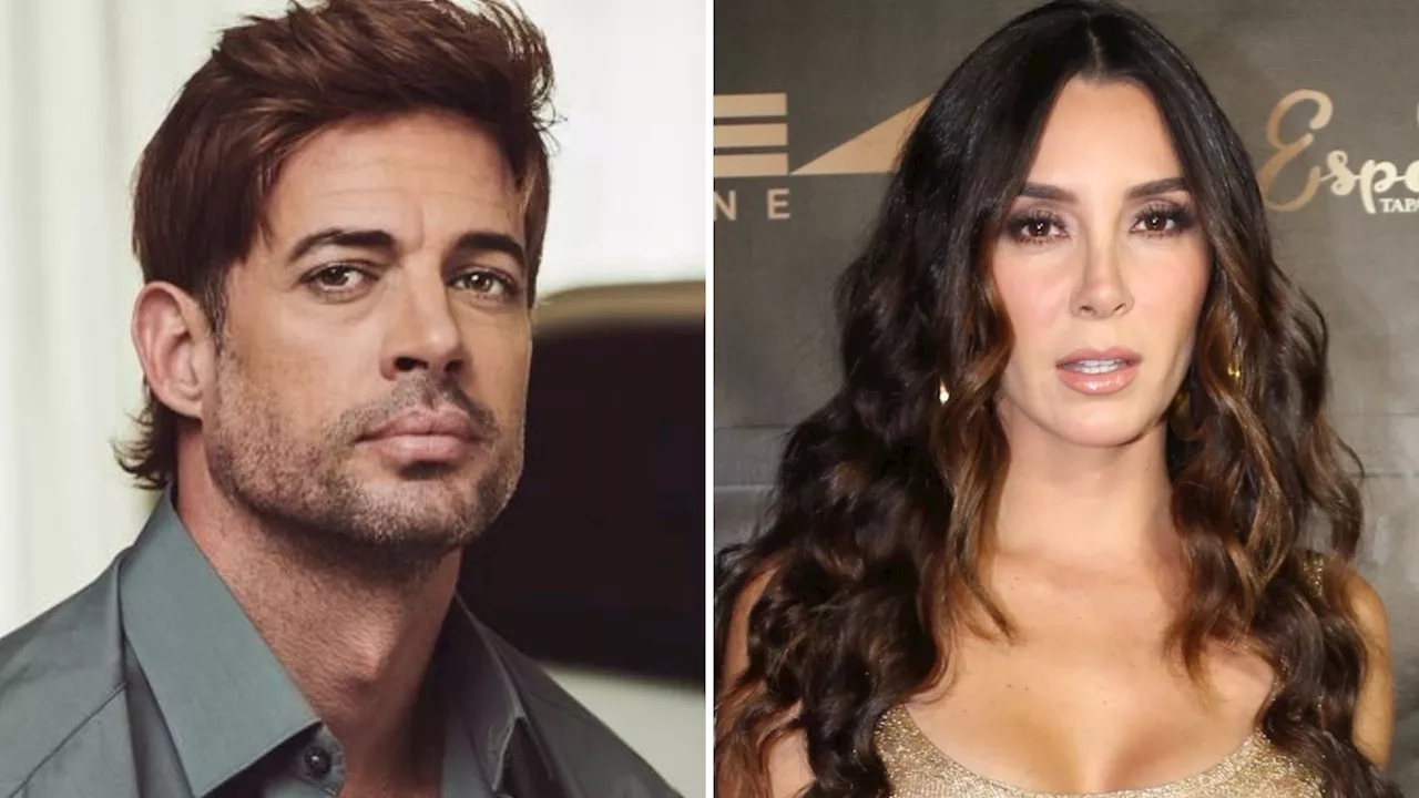 Altercados, supuestas infidelidades y un arma: los informes policiales de William Levy y Elizabeth Gutiérrez