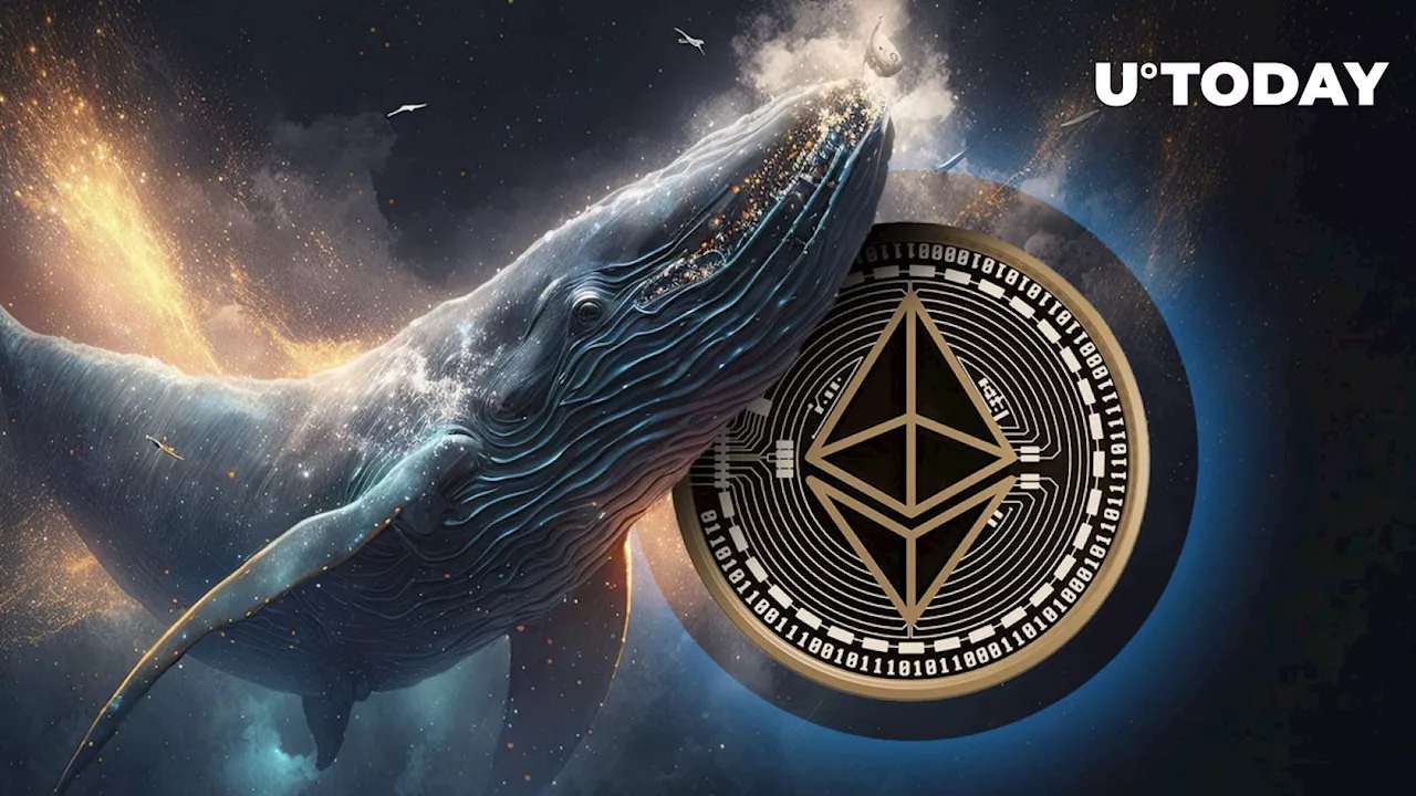 Ethereum (ETH) Skyrockets in Massive Whale Transactions Amid Price Recovery