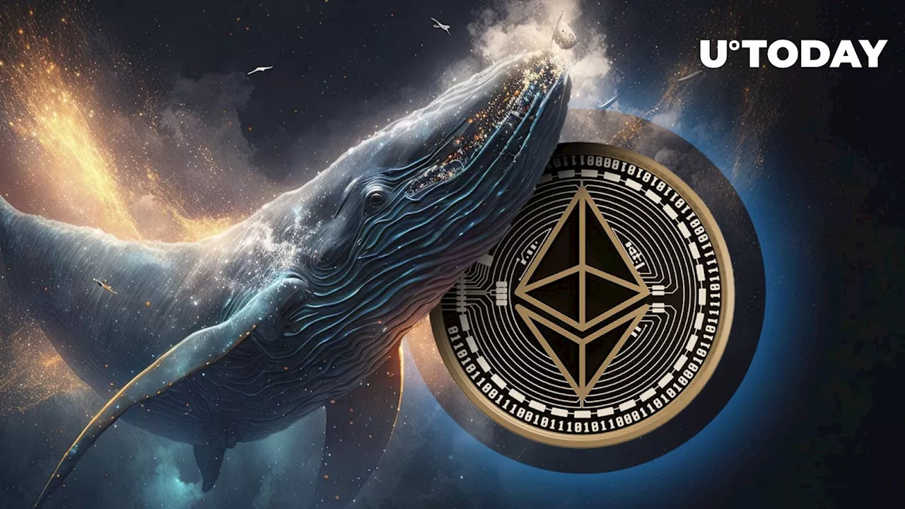 Ethereum: Whales Go on Huge ETH Buying Spree as Price Falls