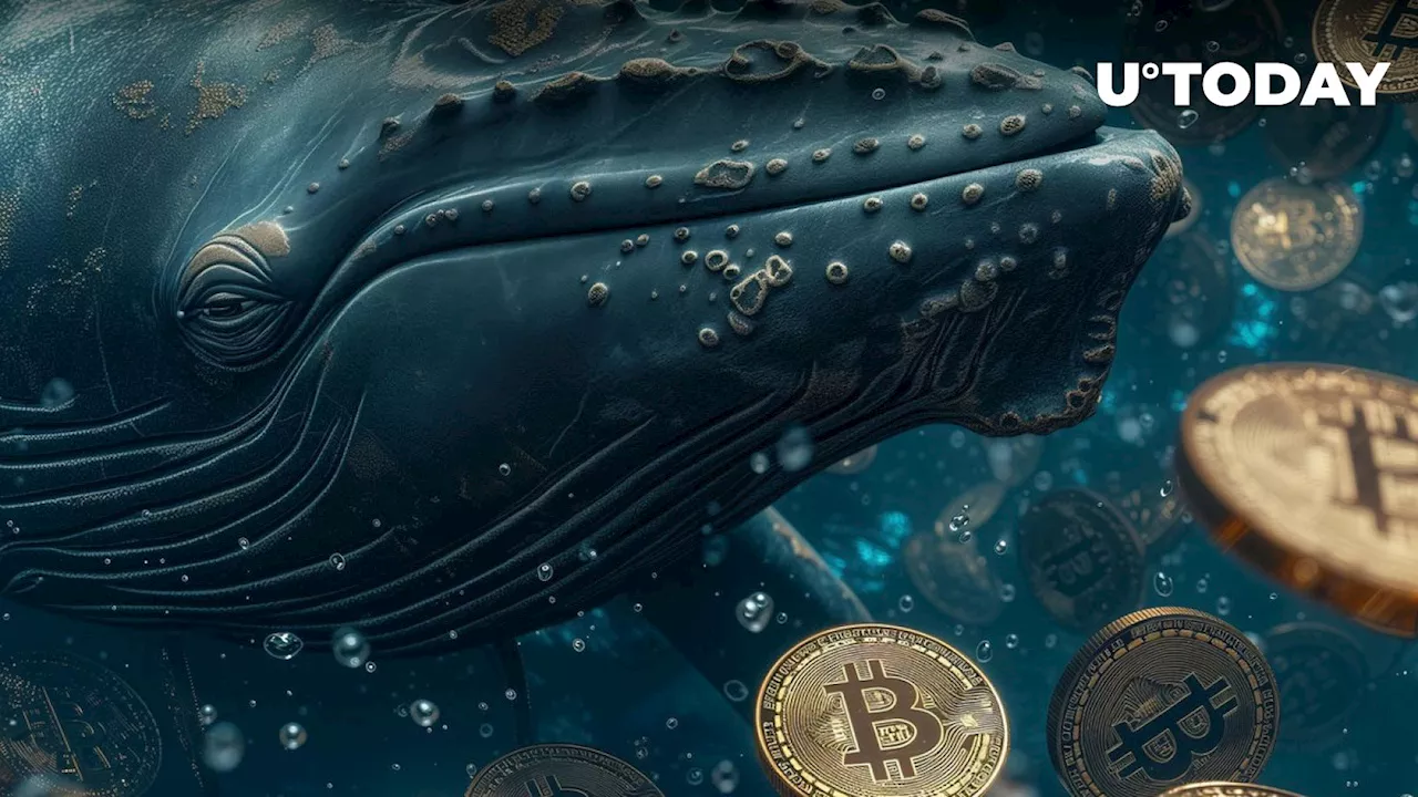 Mysterious Whale Unloads $322 Million in Bitcoin on Major US Exchange