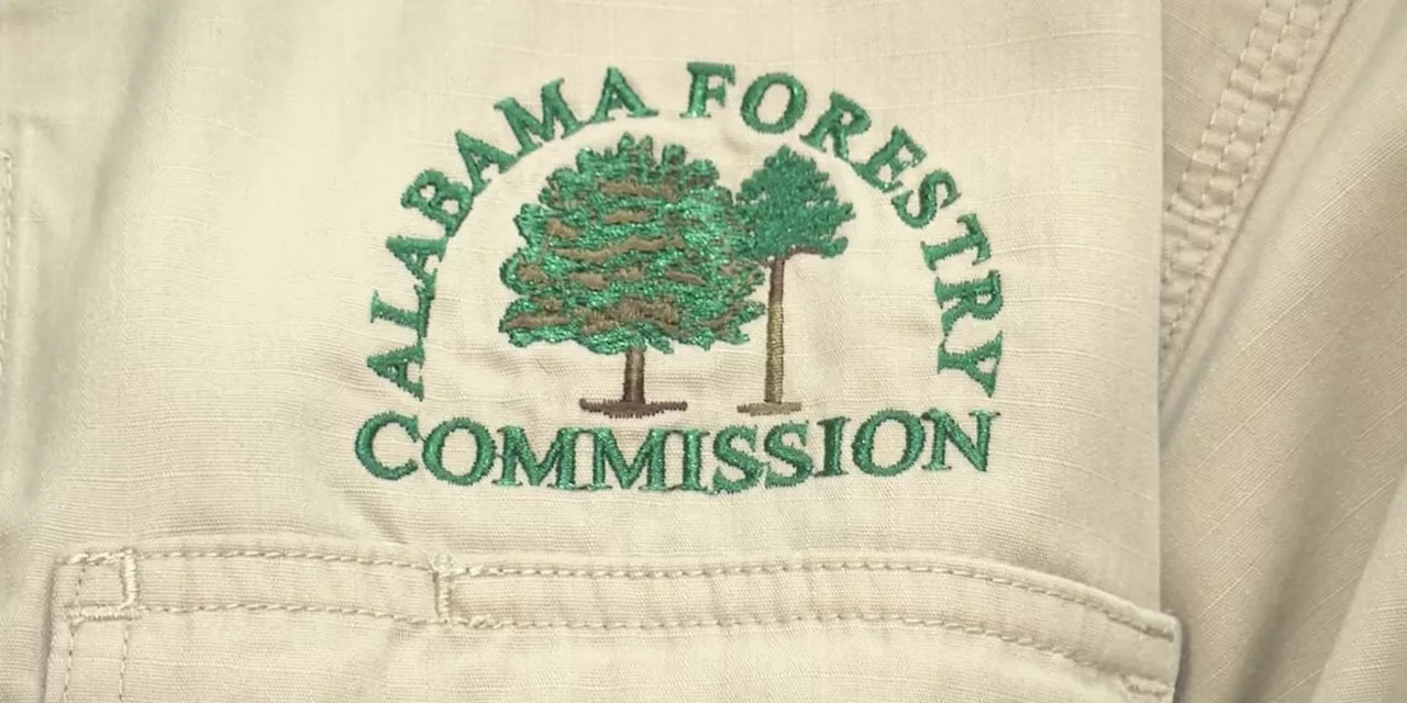 Alabama Forestry Commission Responds to Severe Weather and Storm Damage