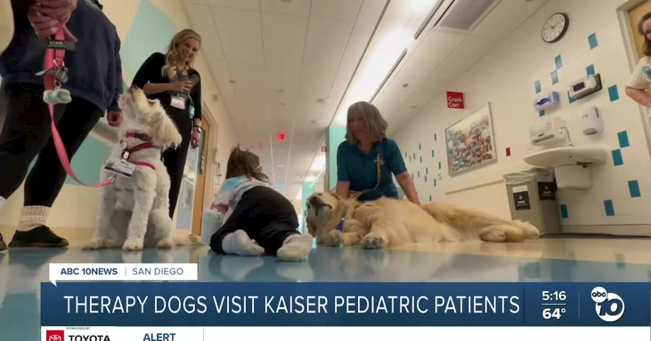 Therapy dogs visit kids at Kaiser Permanente on National Pet Day