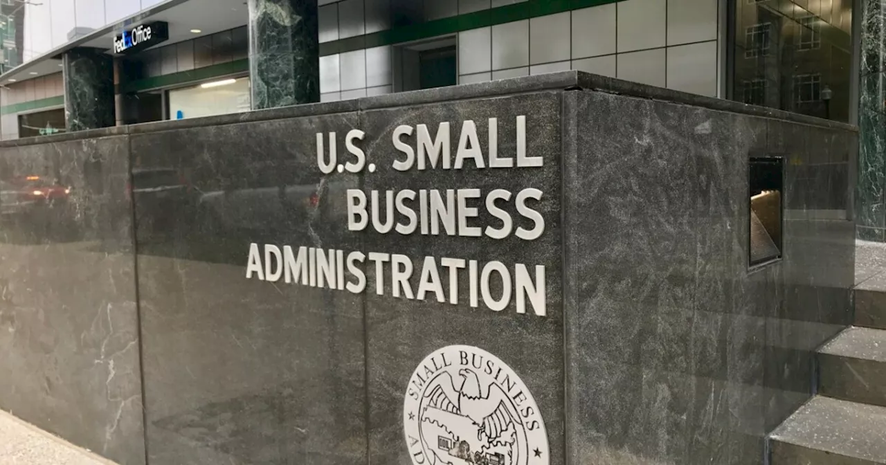 U.S. Small Business Applications Surpass 17 Million Since Biden Took Office