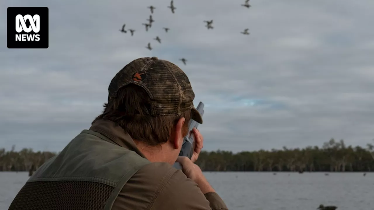 Duck hunting season begins in Victoria despite inquiry recommending it be outlawed