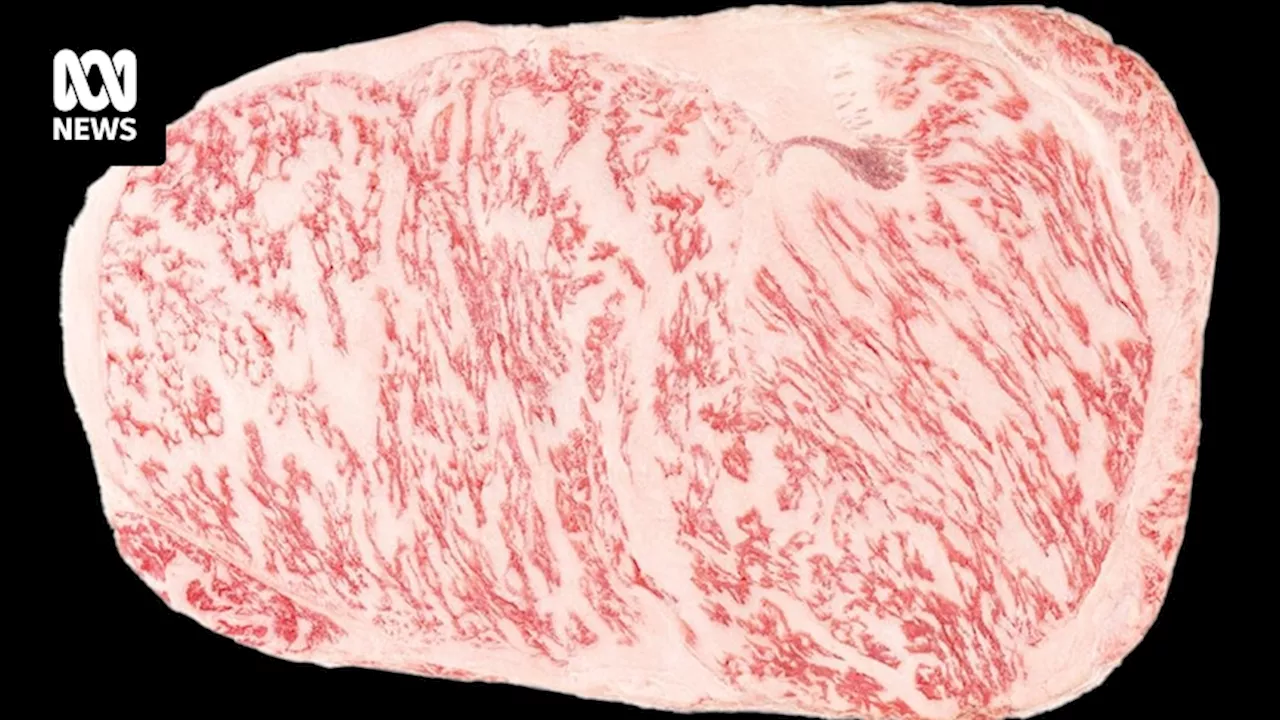 Mayura Station's Wagyu steak with 60 per cent marbling crowned Grand Champion