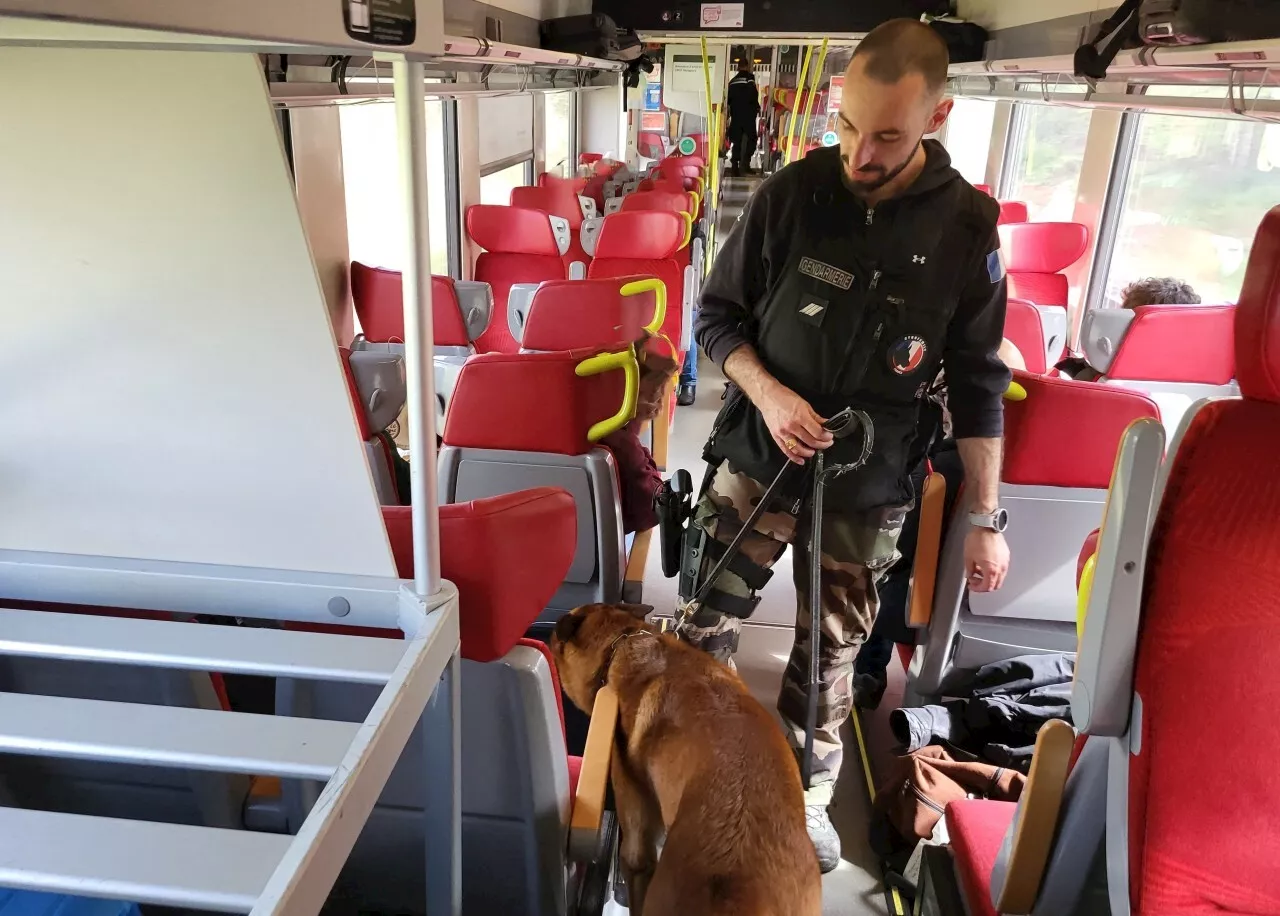 Des gendarmes et un chien de berger belge malinois pour traquer la délinquance dans l'Orne