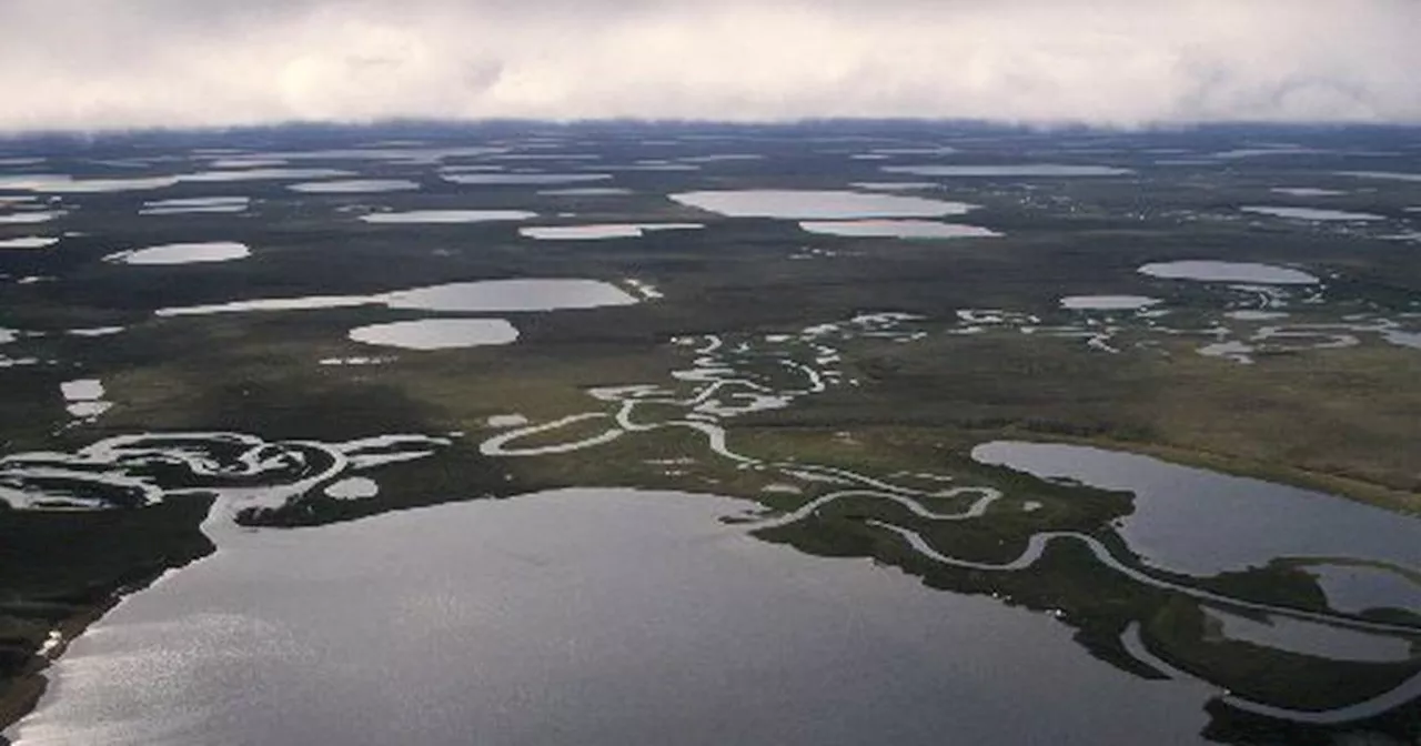 Biden administration plans sweeping effort to block drilling in much of Alaska petroleum reserve