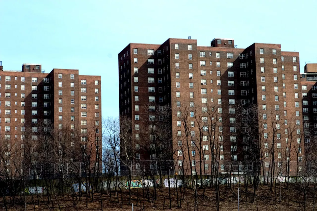 Plans for controversial housing zoning changes released by the city