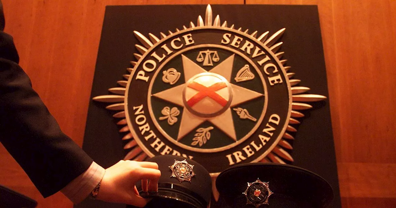 Female PSNI officer assaulted while responding to alleged domestic incident