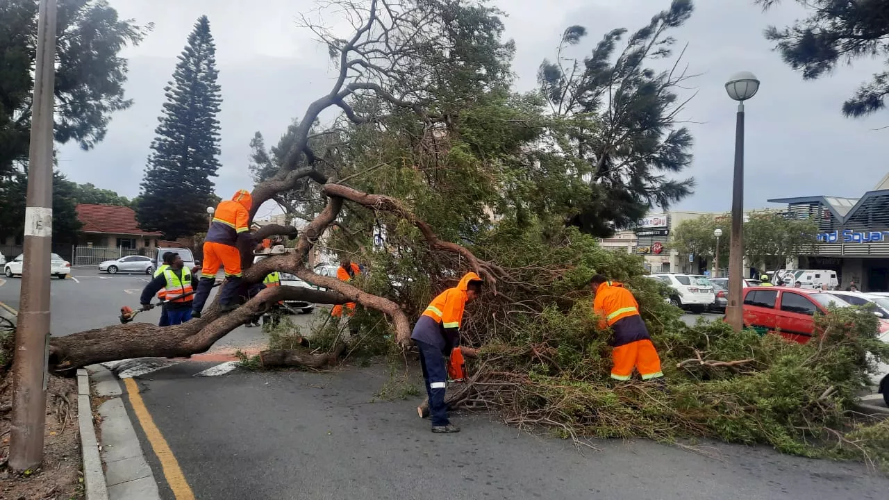 Sea Point hit by 135kph winds in recent Western Cape Storms