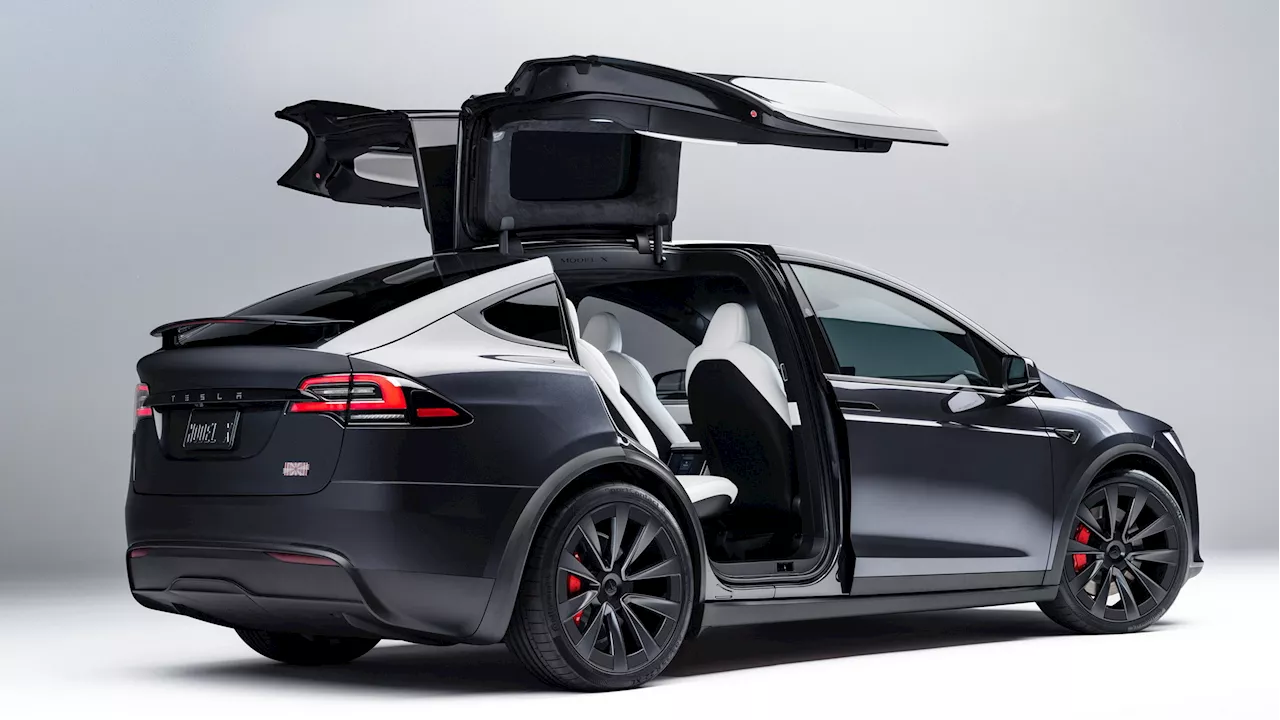 California Mom Sues Tesla After 2-Year-Old Started Model X And Hit Her