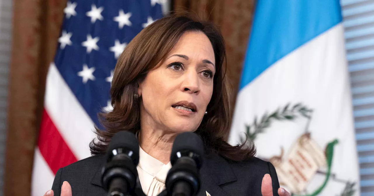 Vice President Kamala Harris Criticizes Trump's Role in Abortion Bans