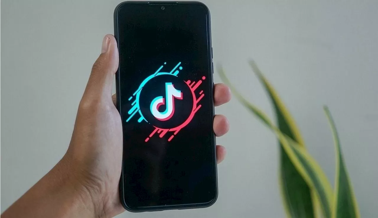 Próximo objetivo de TikTok: la llegada de influencers virtuales