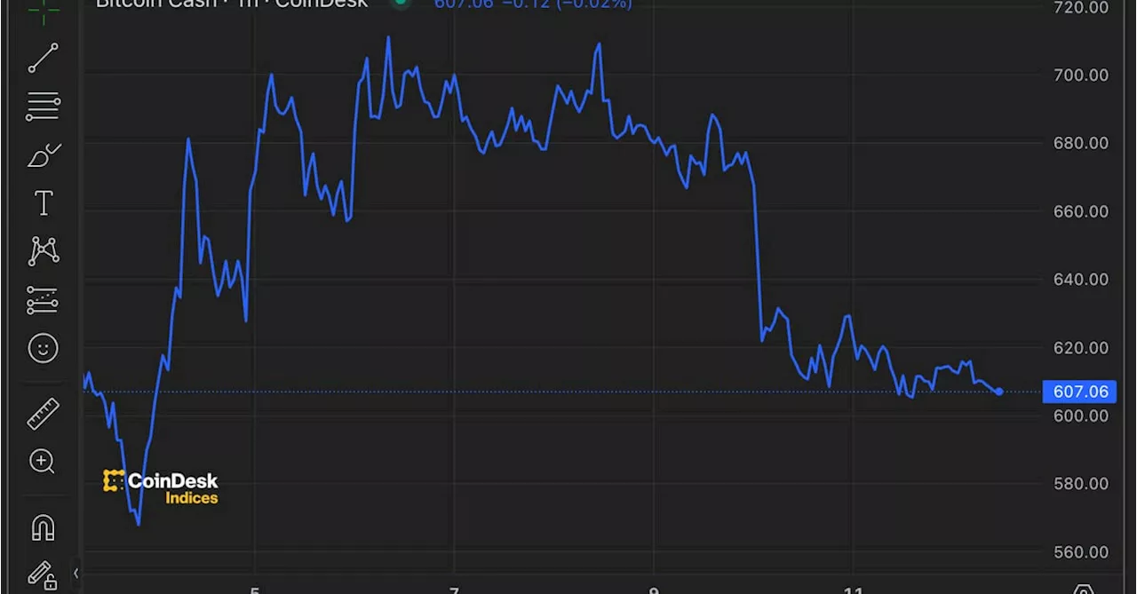 Bitcoin Cash Sends Bitcoin Traders Warning Sign About Halving