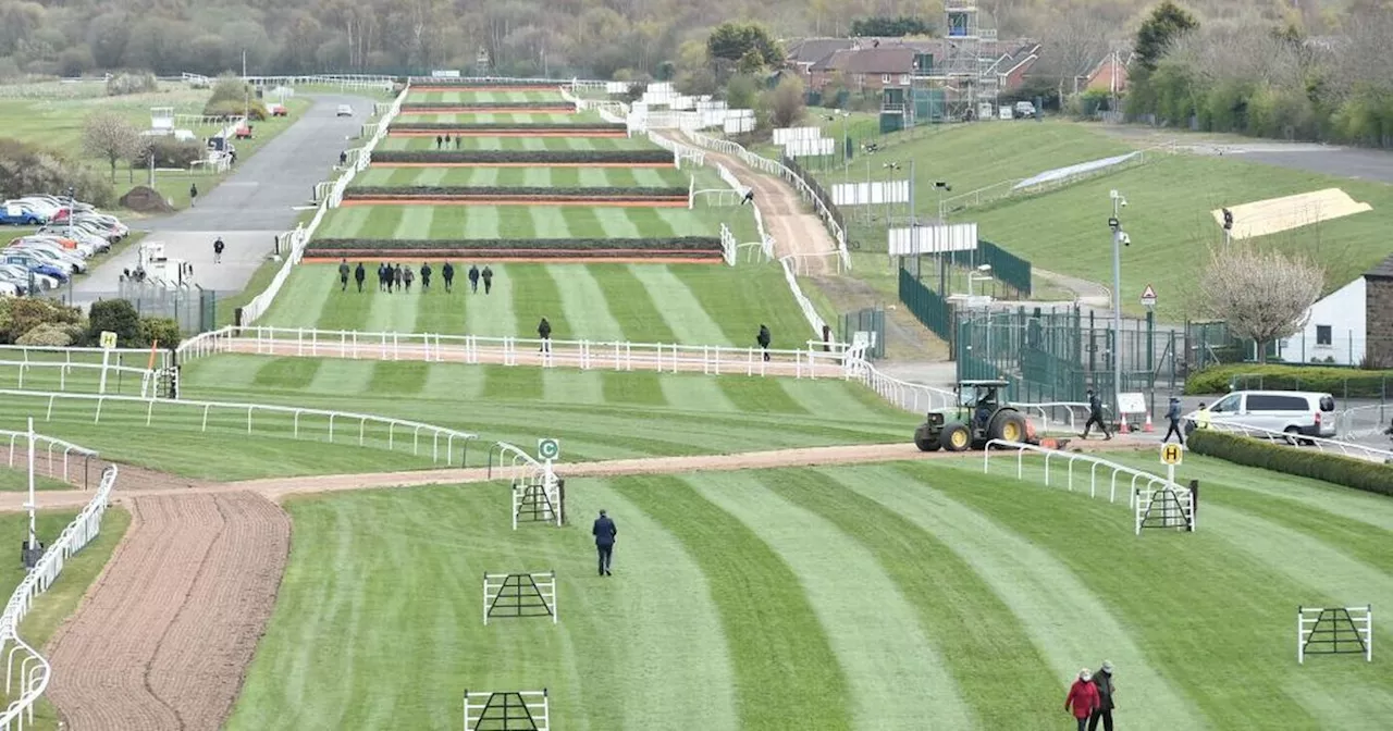 Grand National 2024: First death at Aintree as Giovinco suffers fatal fall