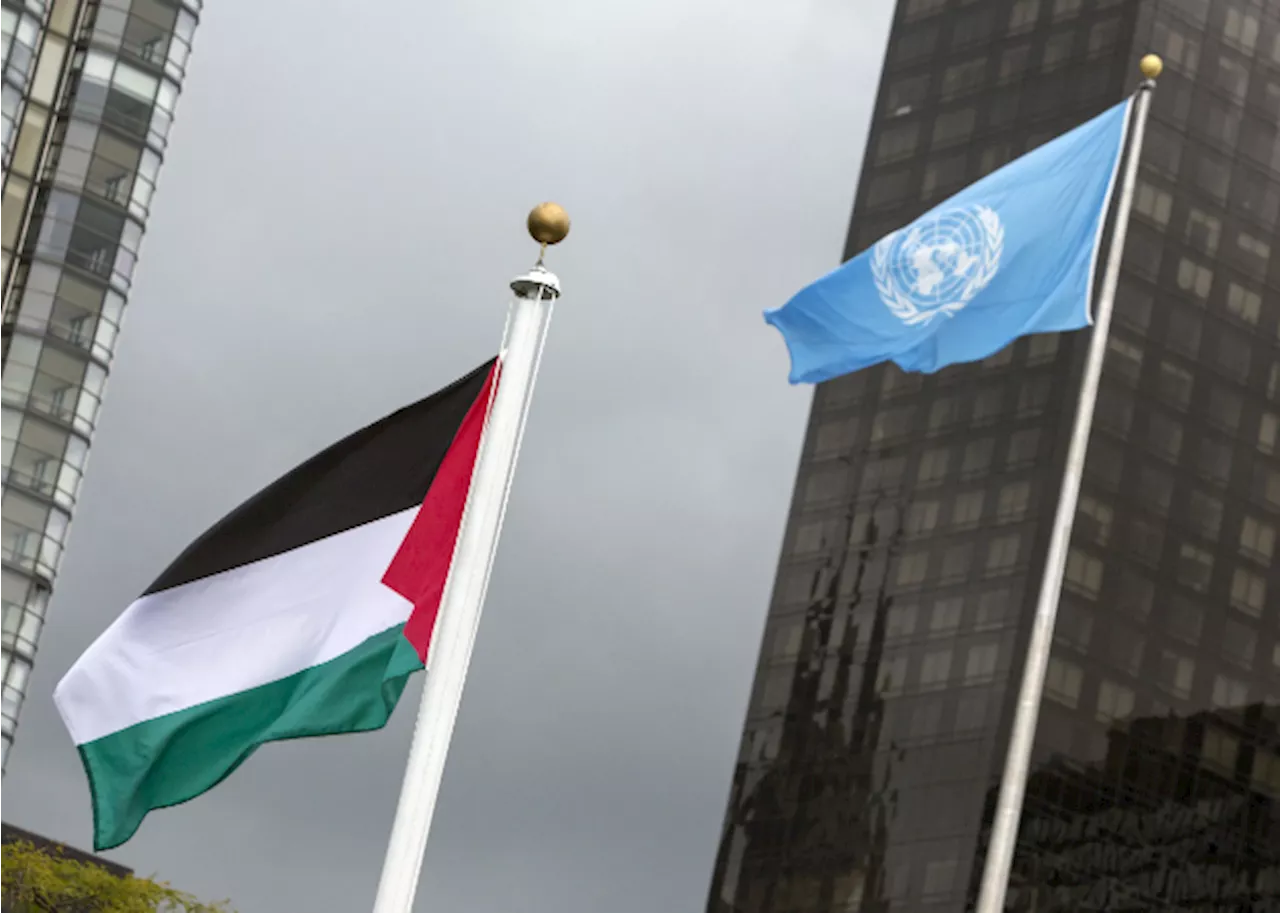 UN committee fails to reach consensus on Palestine's membership bid