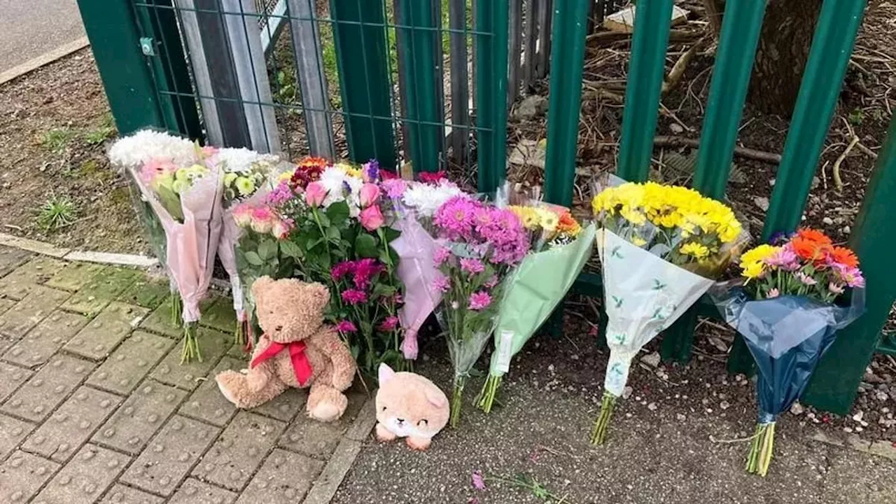 Girl, five, dies after being hit by a lorry as she rode her bike outside school