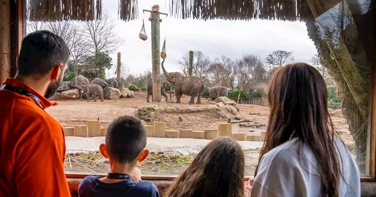 Chester Zoo says 'we're sorry' as they issue public apology