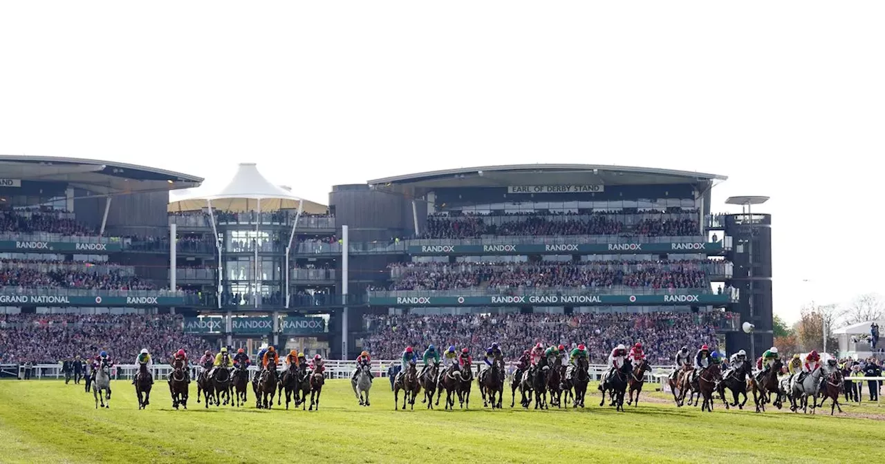 Employees warned of breaking the law by participating in Grand National sweepstake