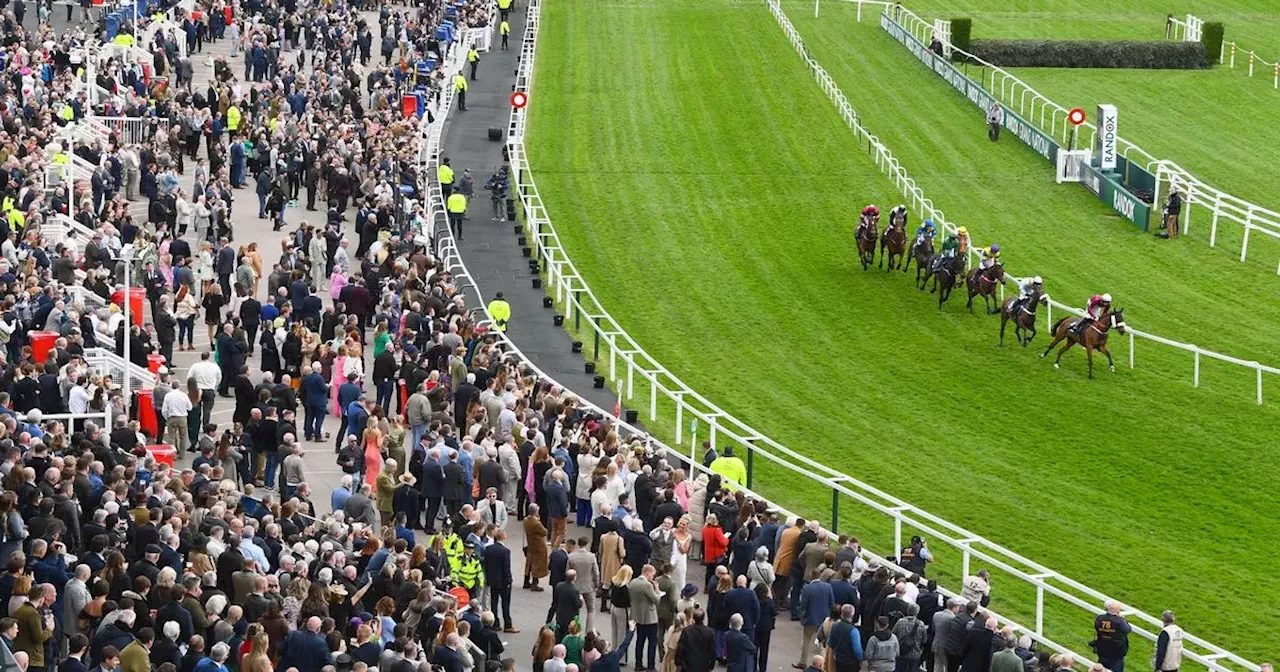 Merseyside Police confirm eight arrests made during Ladies Day