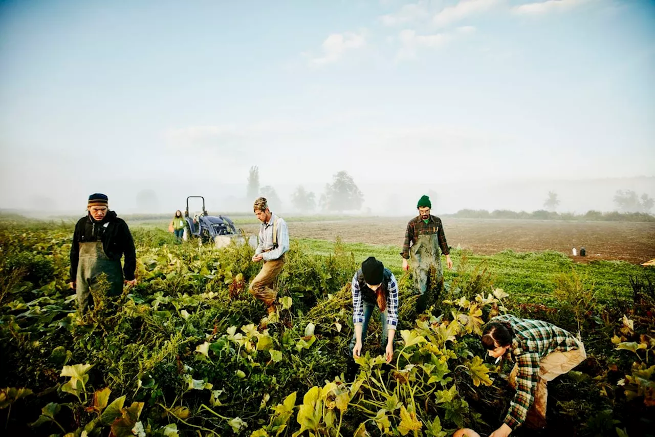 Innovación, transición verde y formación: ¿puede tu futuro estar en el campo?