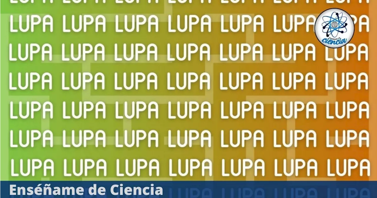 Acertijo visual para EXPERTOS: Encuentra la palabra “TUNA” entre “LUPA” en menos de 5 segundos