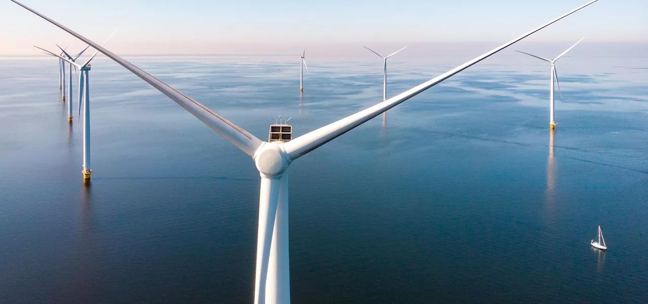 A Biologist Shares 2 Environmental Benefits Of Offshore ‘Mega-Windmills’