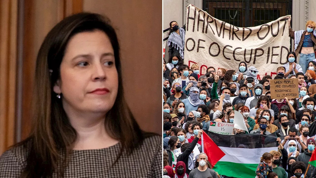 Fox News ‘Antisemitism Exposed’ Newsletter: Stefanik slams Harvard's 'cultural rot'