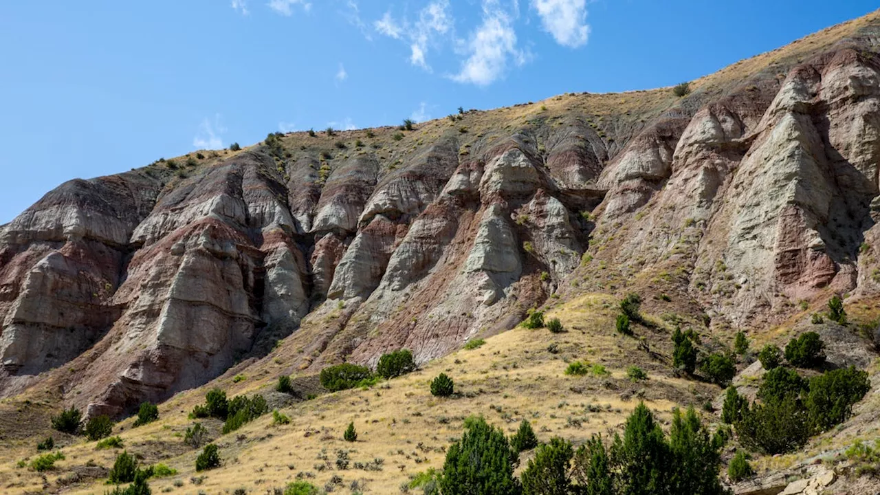 Amazing Fossil Spotting Destinations in the United States