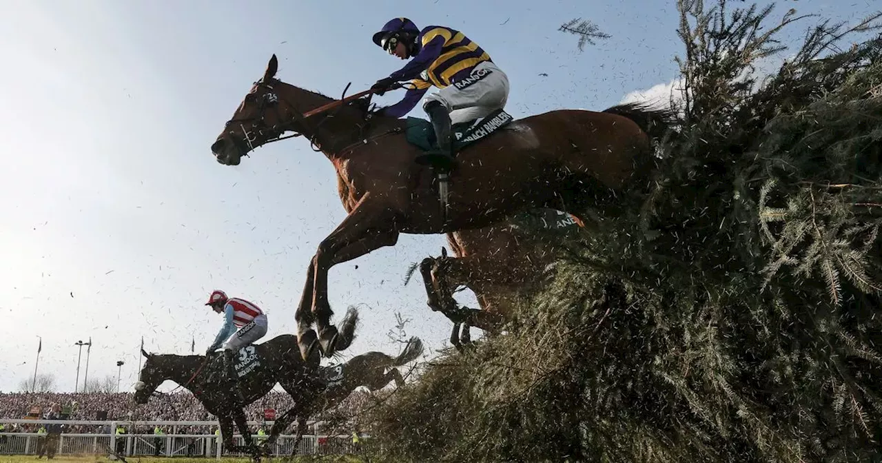 Full List of Runners and Riders Confirmed for Grand National