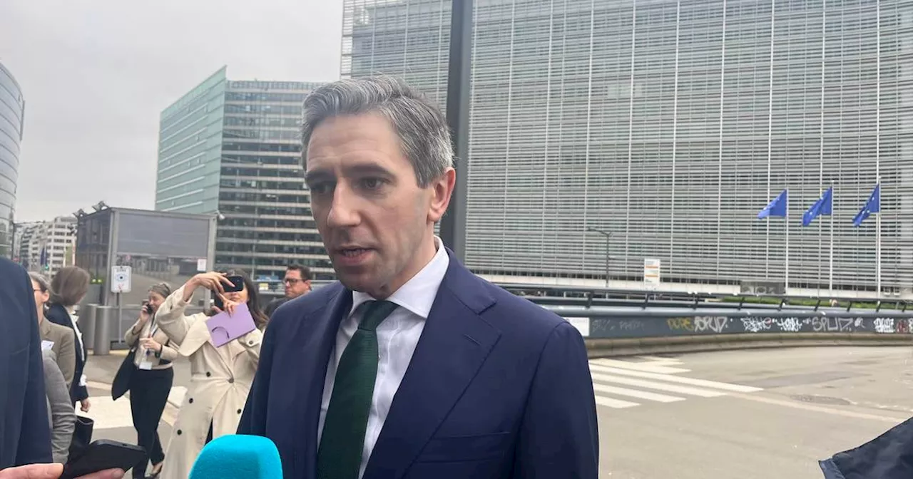 Simon Harris: ‘new kid on the block’ is seen as an ‘unknown quantity’ in Brussels