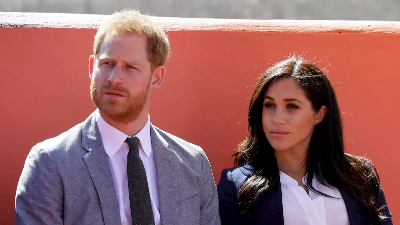 Harry and Meghan working on Netflix shows about polo and 'celebrating the joys of gardening'