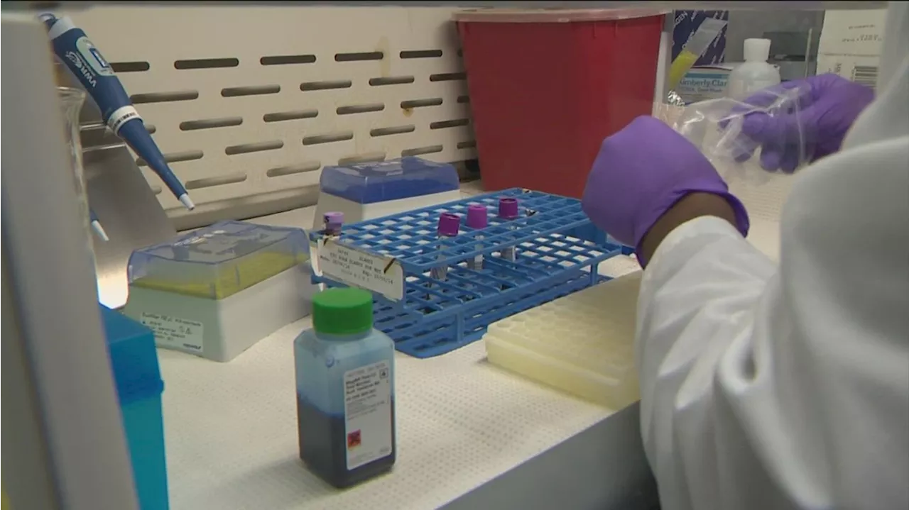 Texas researchers developing possible vaccine for people to prevent human Bird Flu infections