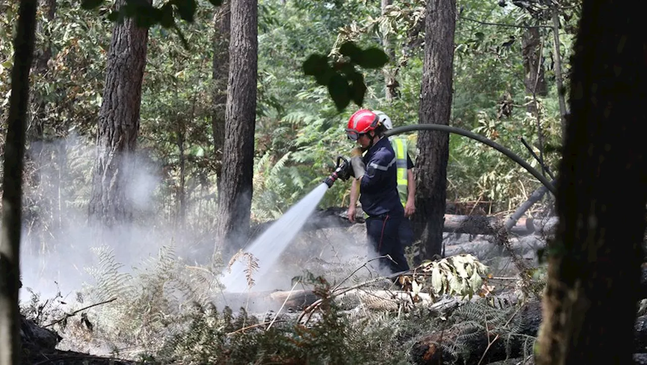 Renforcement du parc d'engins du SDIS47 pour lutter contre les feux de forêts