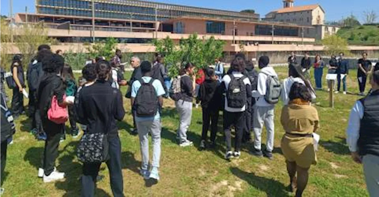 Convoi 71 : le lycée Simone Veil se souvient