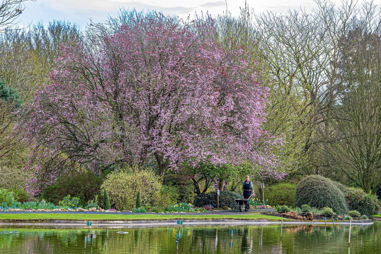 April is the perfect time to get back in the garden