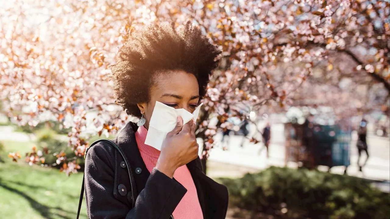 Could allergies be 'deleted' someday?