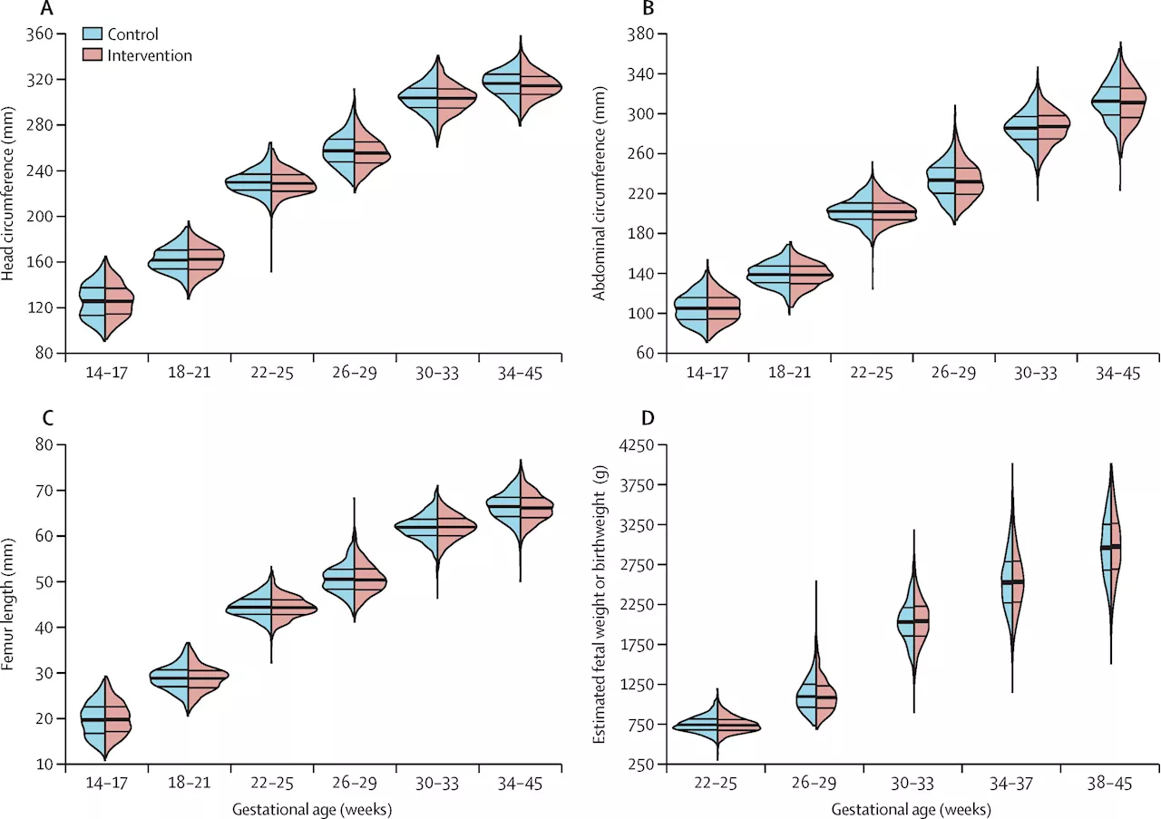 Study improves understanding of effects of household air pollution during pregnancy