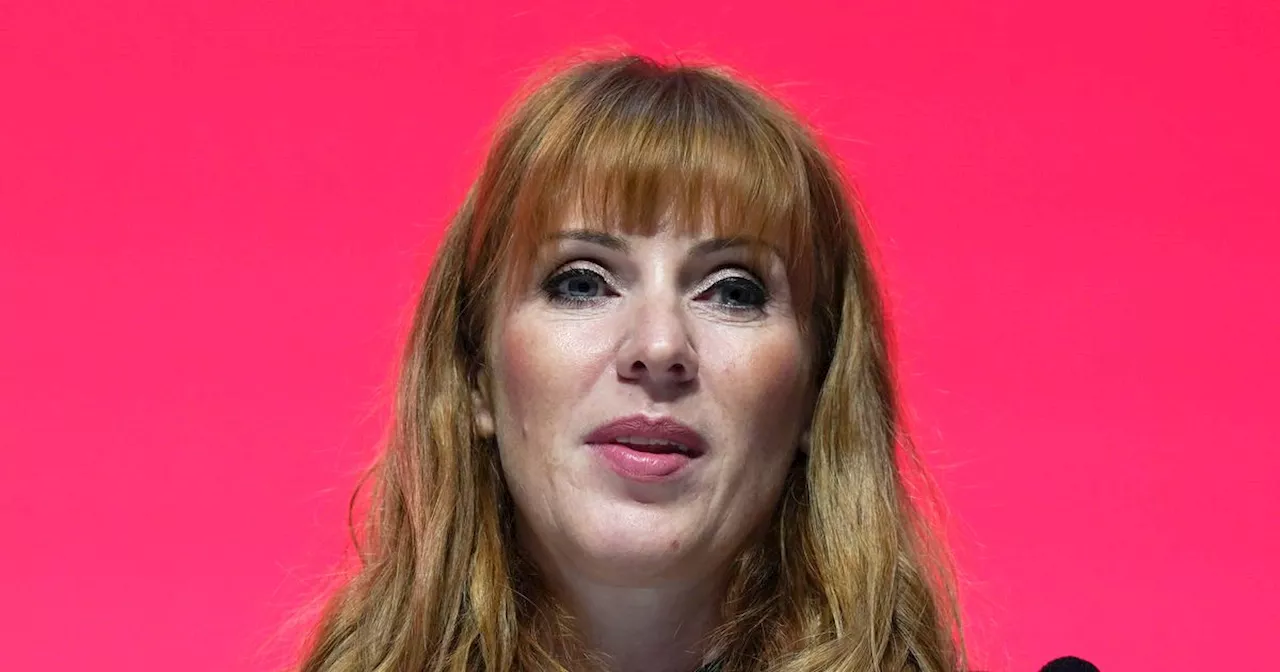 Angela Rayner vows to 'step down' if found to have committed criminal offence