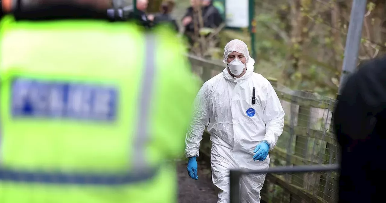 Bin collections to resume following search after torso found in woodland