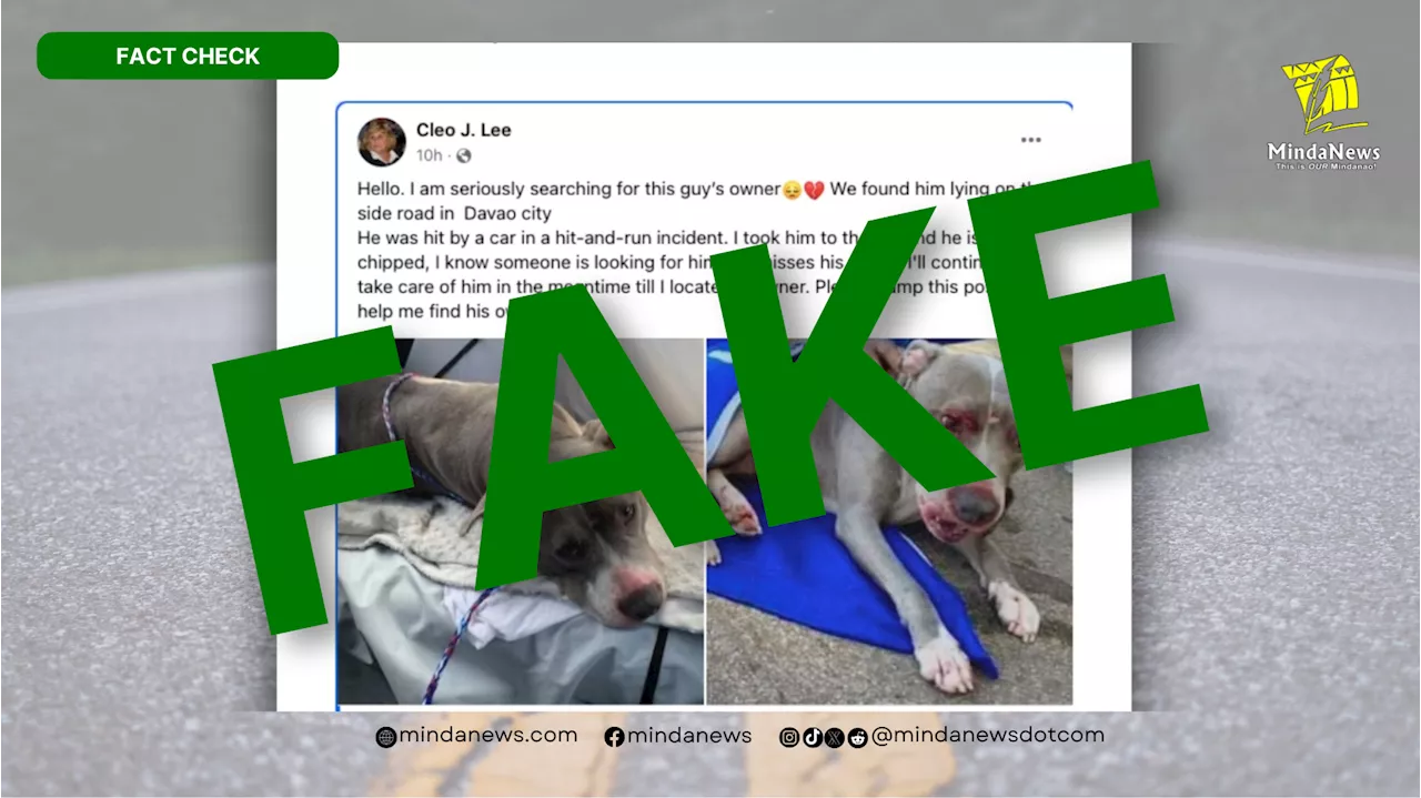  Fake post in Davao Facebook group about injured dog meant for phishing scam