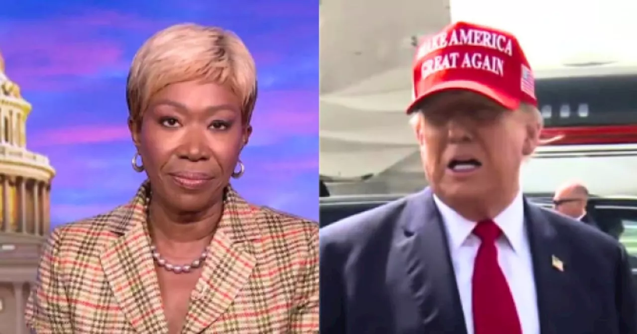 Trump bears all responsibility for U.S. abortion bans Joy Reid says