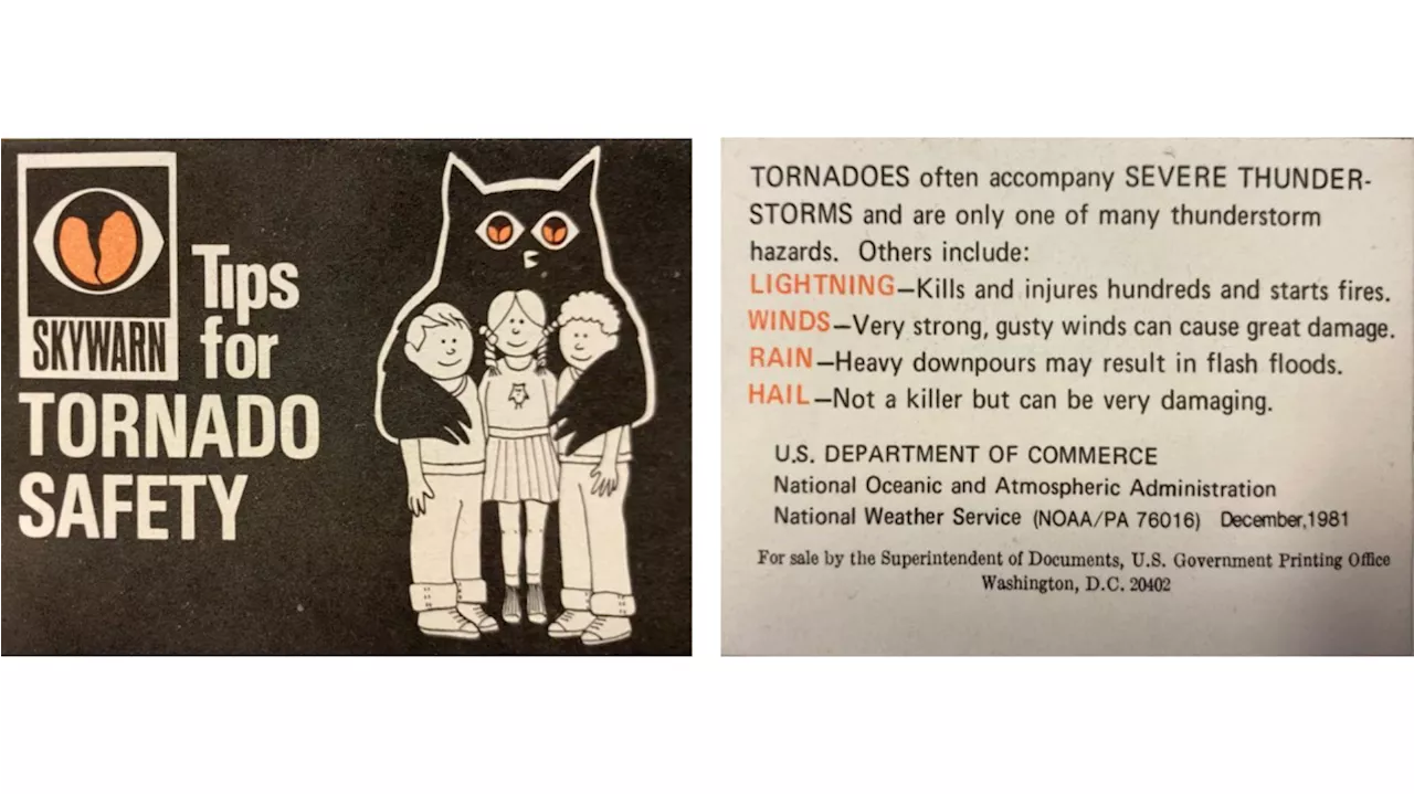 Friday Find: Owlie Skywarn cards