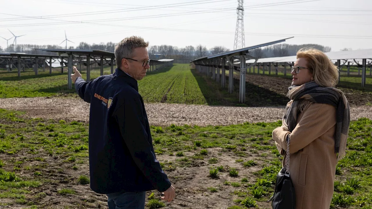 Interesse am Sonnenfeld in Bruck ist ungebrochen