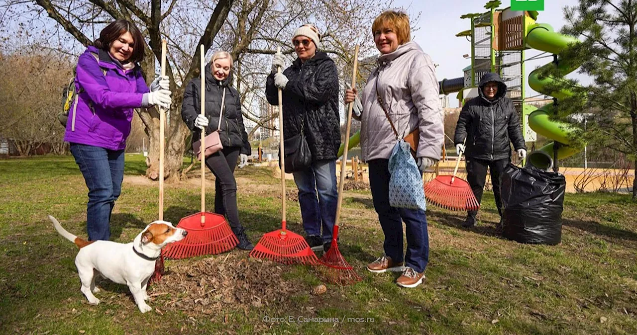 Общегородские субботники пройдут в столице 13 и 20 апреля