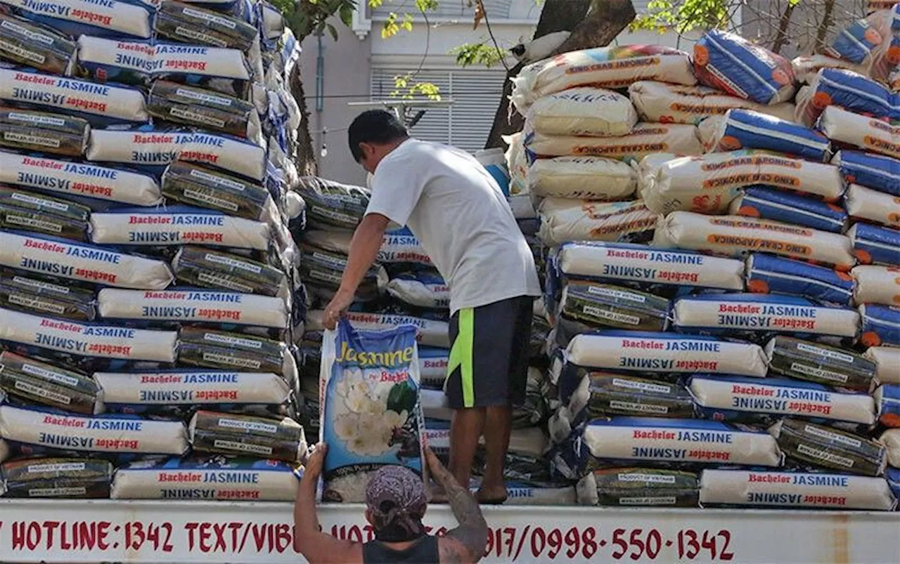 Philippines to import less rice this year