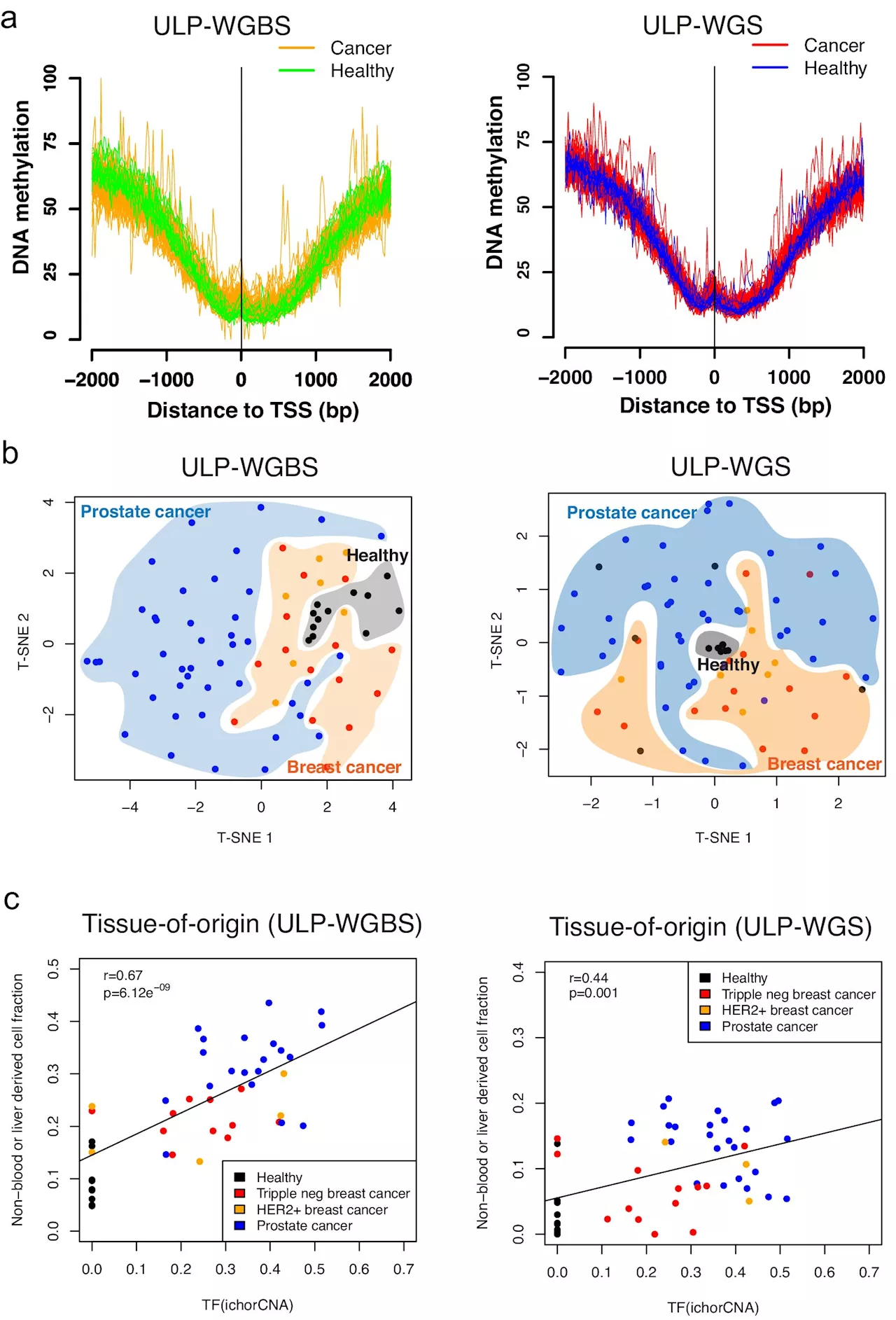 Developing a machine learning model to explore DNA methylation